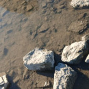 Бывает в жизни всякое